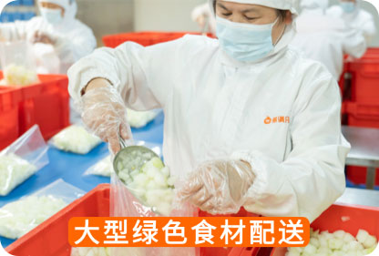 大型绿色食材配送