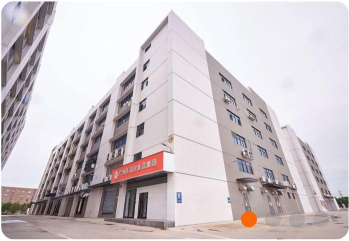 广州多满分食品集团